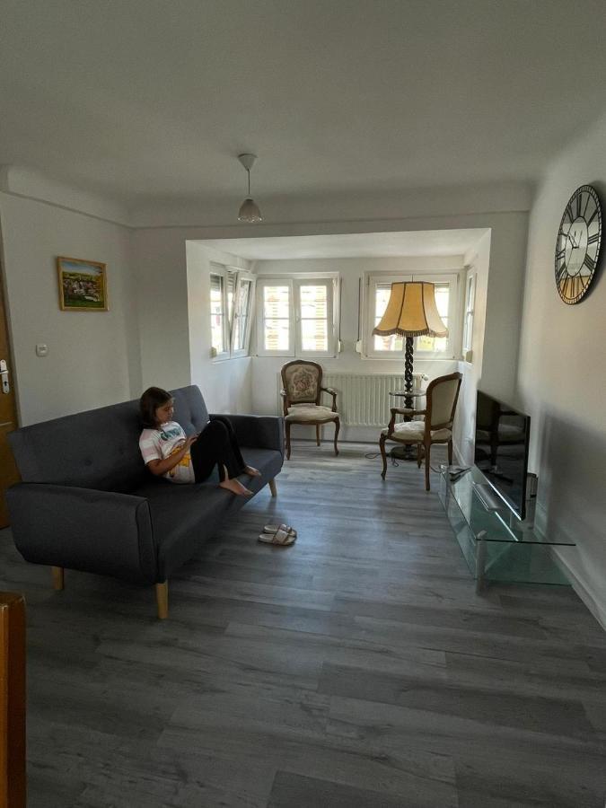 Au Bon Vieux Port Maison De Vacances Alsacienne A 10Mn De Ribeauville, Riquewihr Et Kaysersberg Sélestat Екстериор снимка