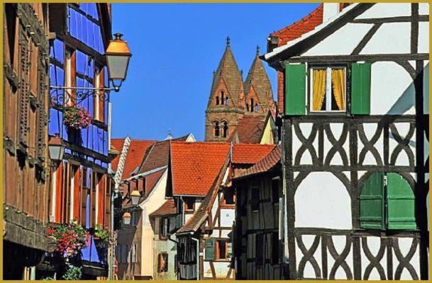 Au Bon Vieux Port Maison De Vacances Alsacienne A 10Mn De Ribeauville, Riquewihr Et Kaysersberg Sélestat Екстериор снимка